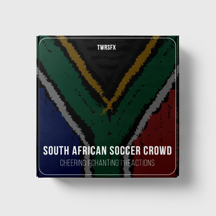 South African Soccer Crowds
