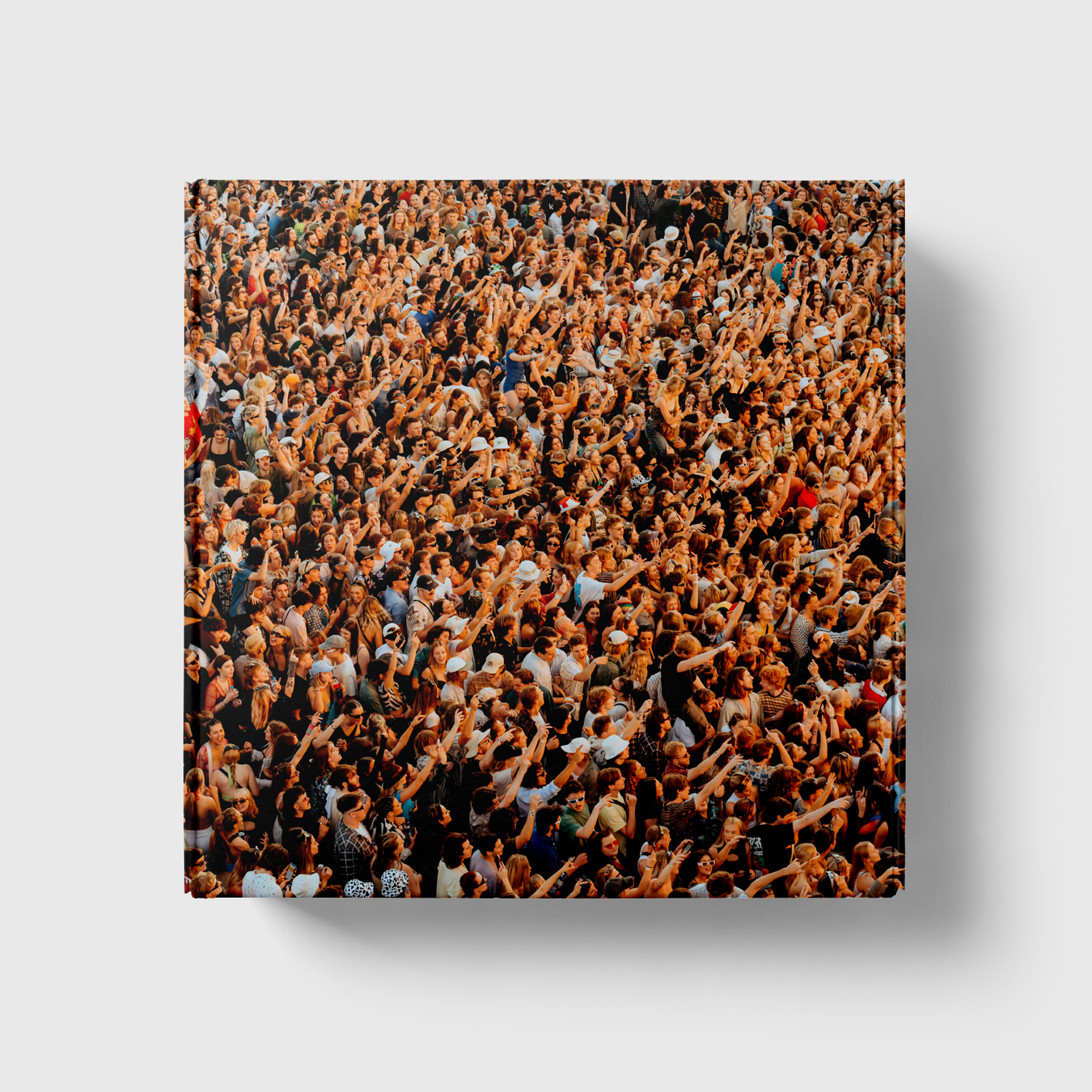 CROWDS