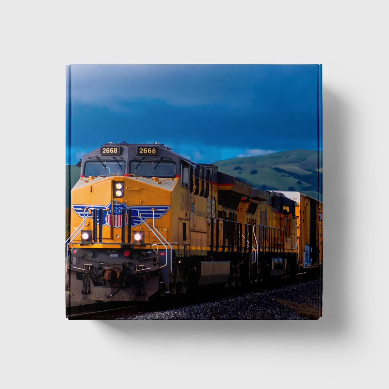 TRAINS