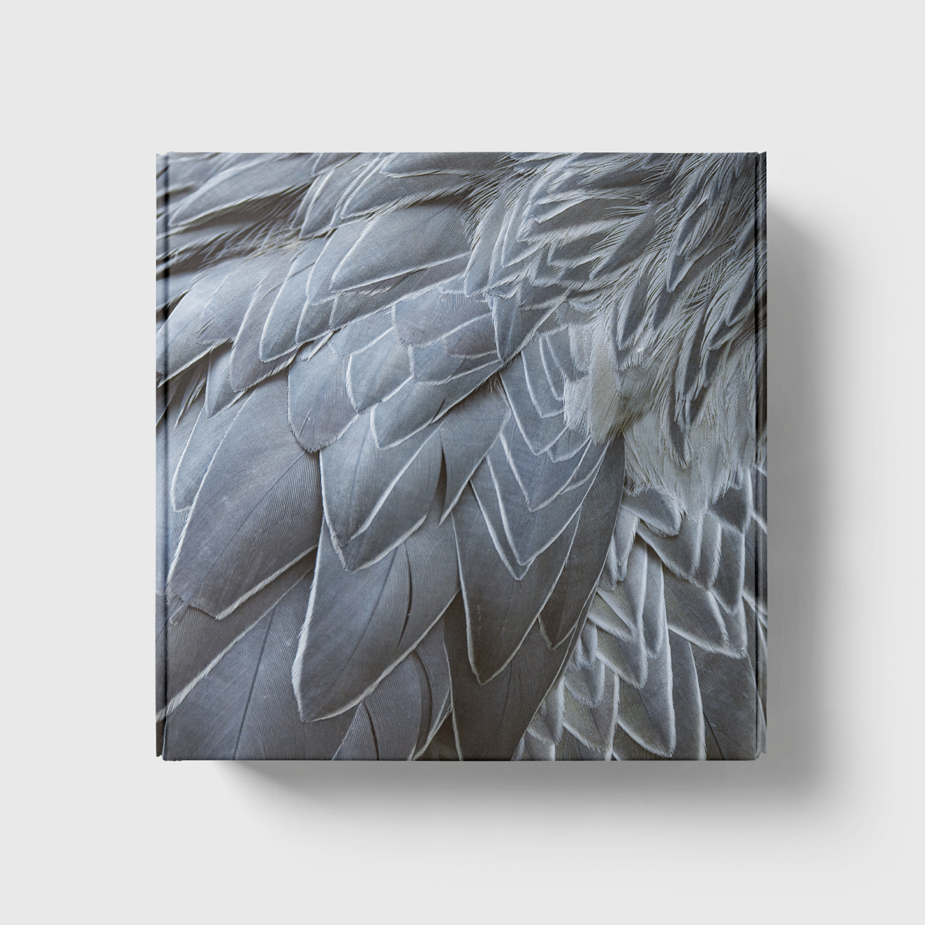 WINGS