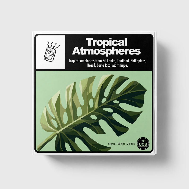 Tropical Atmospheres