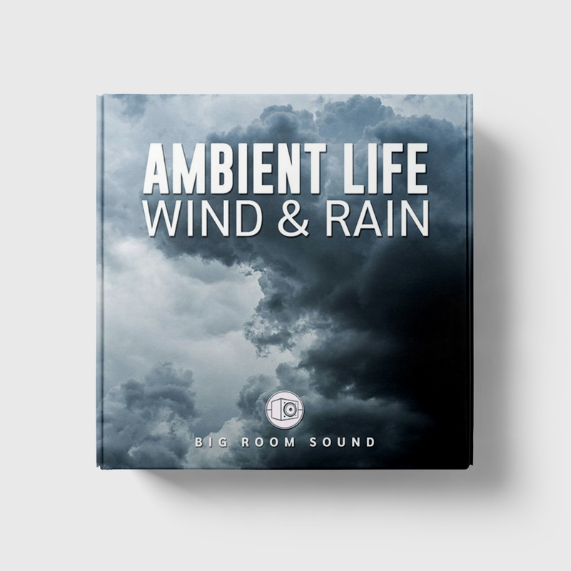 Ambient Life: Wind & Rain