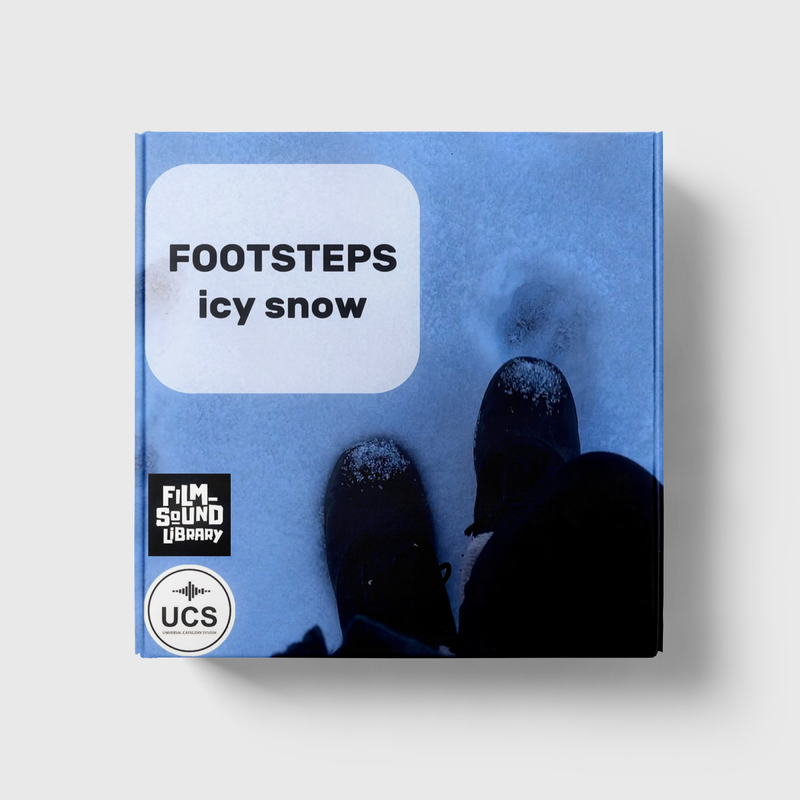 Footsteps Icy Snow