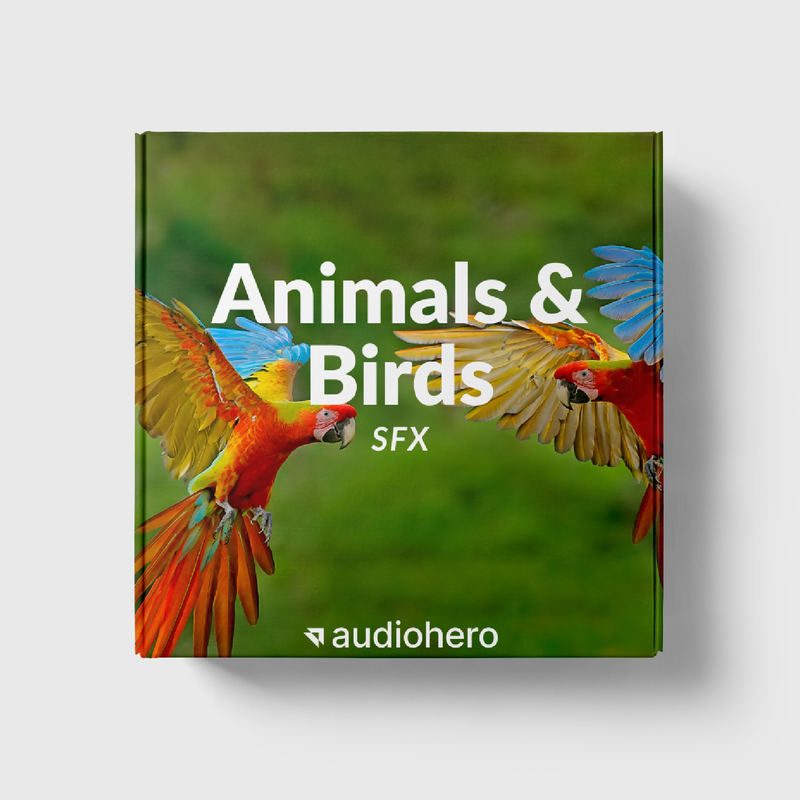 Animals & Birds