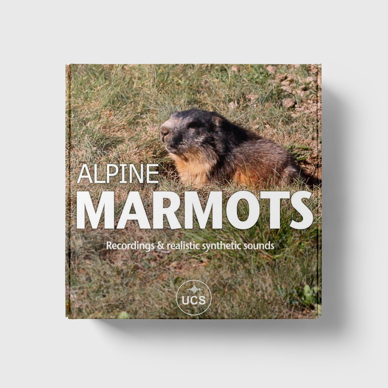 Alpine Marmots