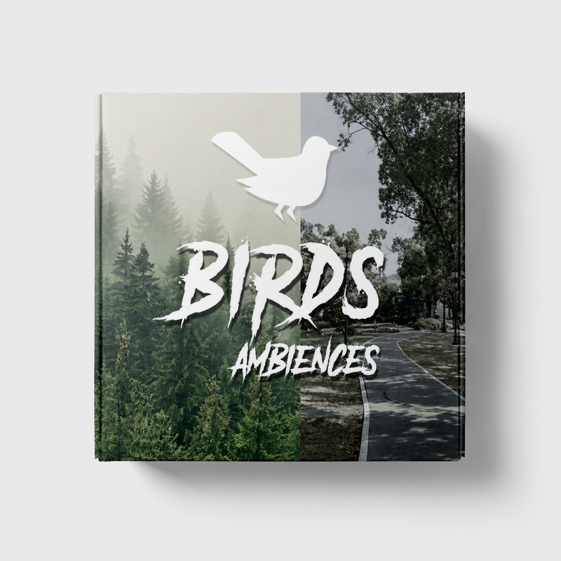 Birds Ambiences