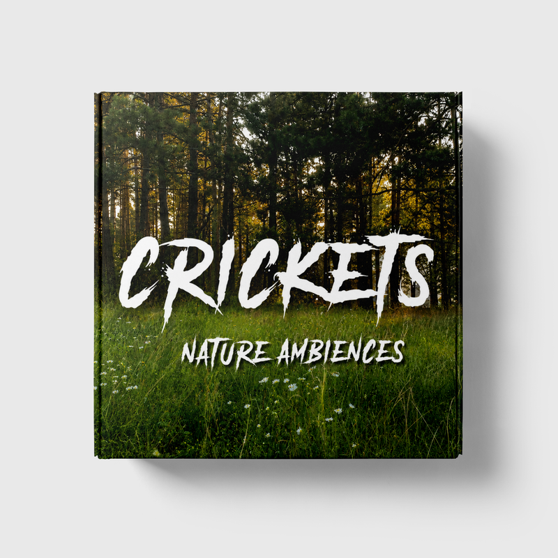 Crickets – Nature Ambiences