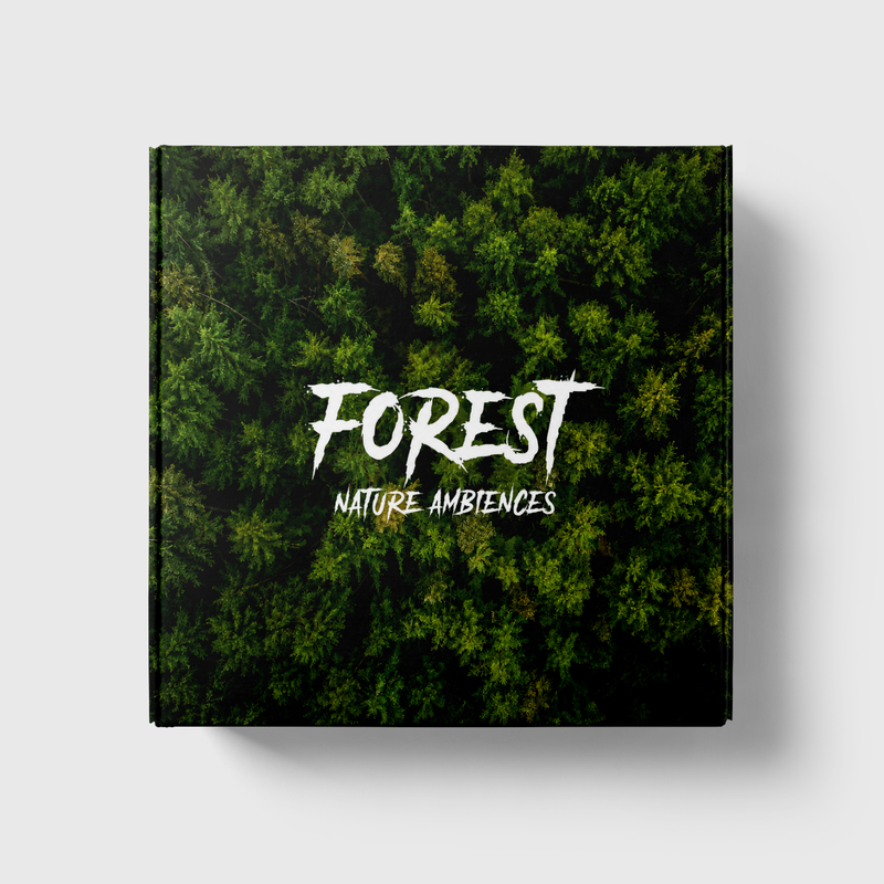 Forest – Nature Ambiences