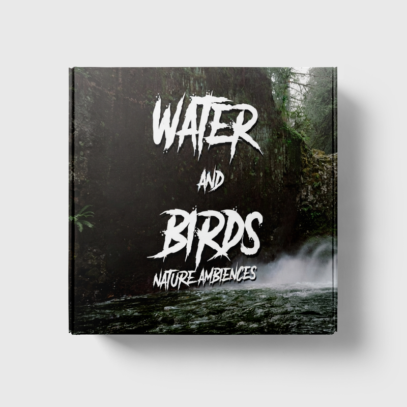 Water and Birds – Nature Ambiences Edition