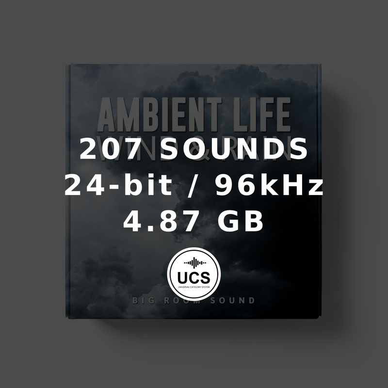 Ambient Life: Wind & Rain