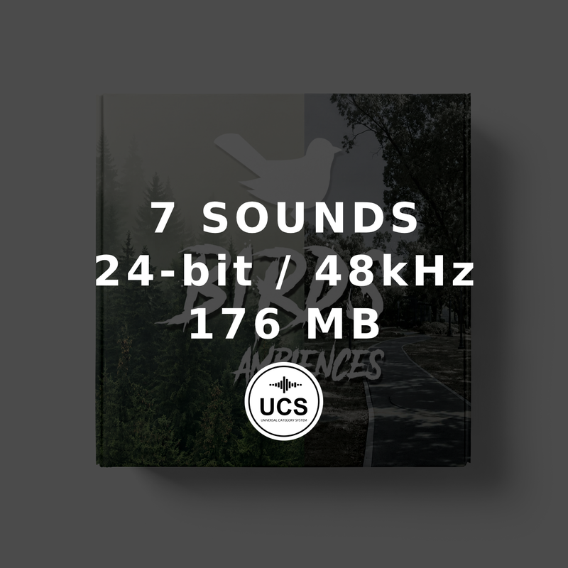 Birds Ambiences
