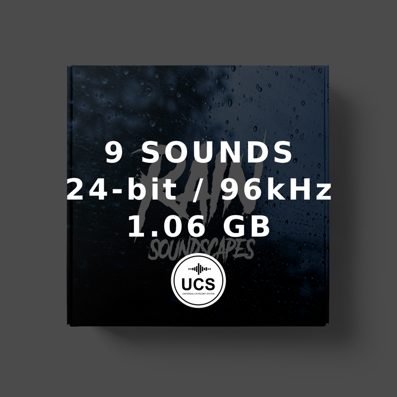 Rain Soundscapes