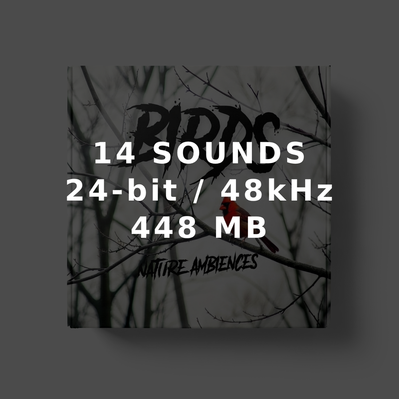 Birds - Nature Ambiences Edition