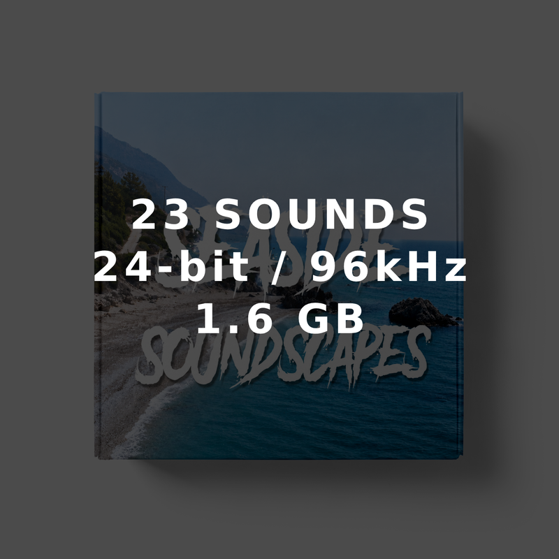 Seaside Soundscapes