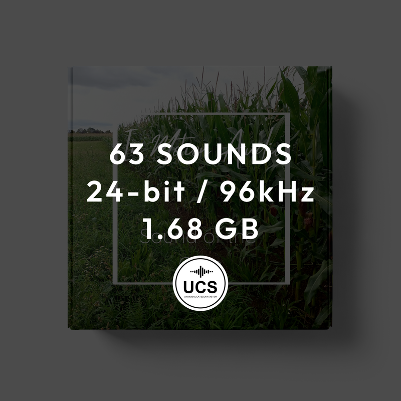 Sound of the Corn
