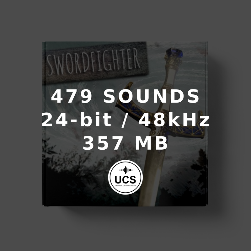 Swordfighter